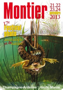 L'affiche de cette édition. Cliquez pour atteindre le site du festival.